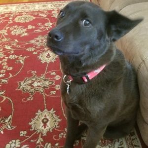 Meet your Posher, Nancy